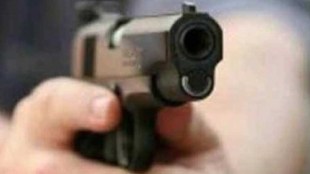 pistol