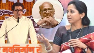 raj thackeray thane speech