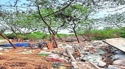 खारफुटींवर अतिक्रमण; कोलशेत बाळकूम भागात महापालिका, वन आणि महसूल विभागाचे सर्वेक्षण खारफुटींवर अतिक्रमण; कोलशेत बाळकूम भागात महापालिका, वन आणि महसूल विभागाचे सर्वेक्षण