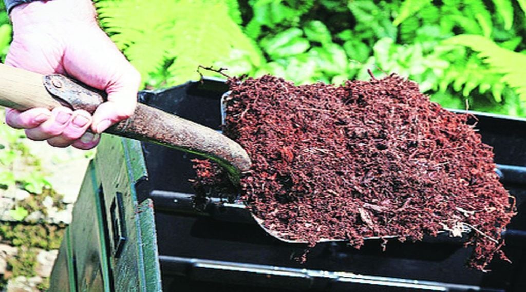 कल्याण-डोंबिवली पालिकेच्या खतामुळे सेंद्रिय शेती कल्याण-डोंबिवली पालिकेच्या खतामुळे सेंद्रिय शेती