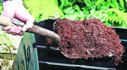 कल्याण-डोंबिवली पालिकेच्या खतामुळे सेंद्रिय शेती