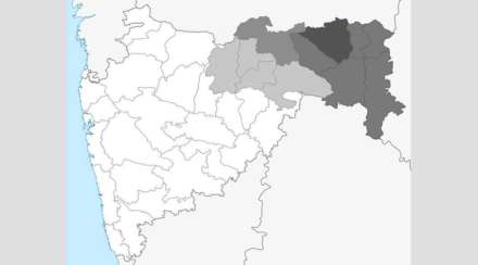 वेगळय़ा विदर्भासाठी दिल्लीत गुरुवारी आंदोलन