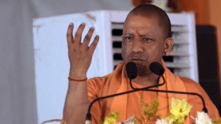 yogi