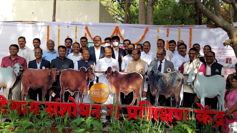 पुण्यातील कृषी महाविद्यालय येथे गोधन २०२२ देशी गोवंश प्रदर्शन आणि प्रात्यक्षिक कार्यक्रमाचे उद्घाटन उपमुख्यमंत्री अजित पवार यांच्या हस्ते करण्यात आले.