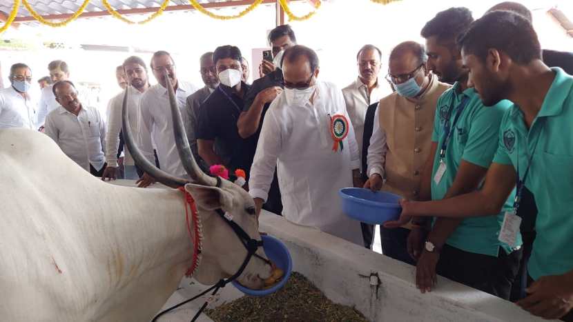 यावेळी अजित पवारांनी तेथील सर्व स्टॉल आणि गोठ्यांना भेट देऊन पाहणी केली.