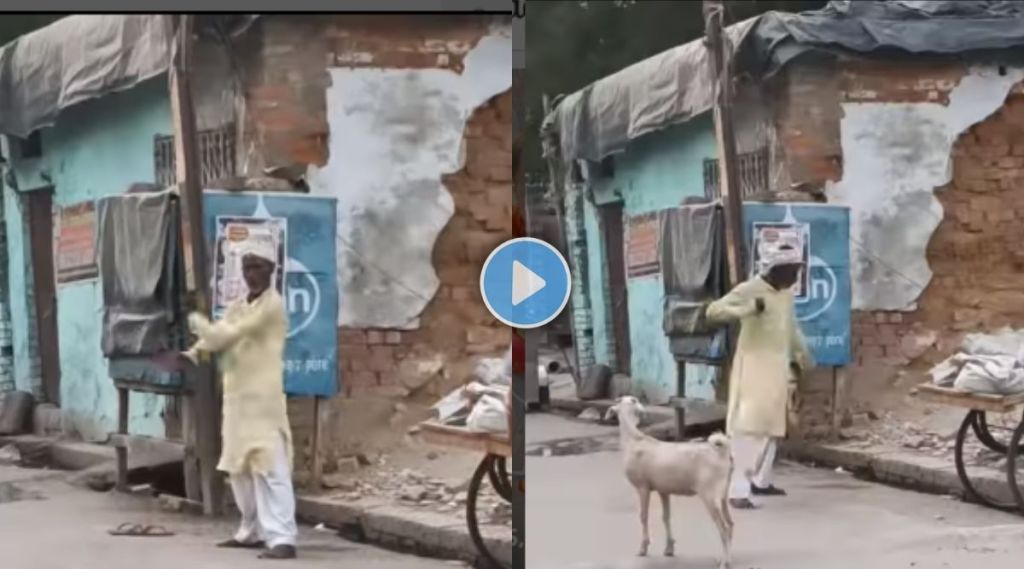 Desi Shaktiman