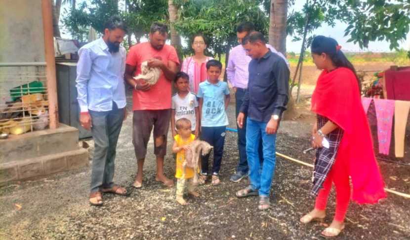 बछडे वन विभागाकडे आल्यानंतर अन्न खात नव्हते. त्वचारोगासोबतच त्याच्यावर भूक न लागण्याचे औषधोपचारही करण्यात आले.