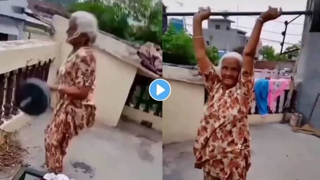 Dadi-pote-ka-video