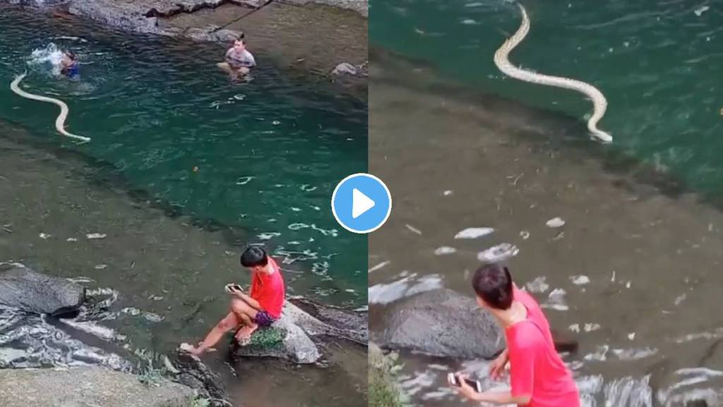Snake-Video-Viral