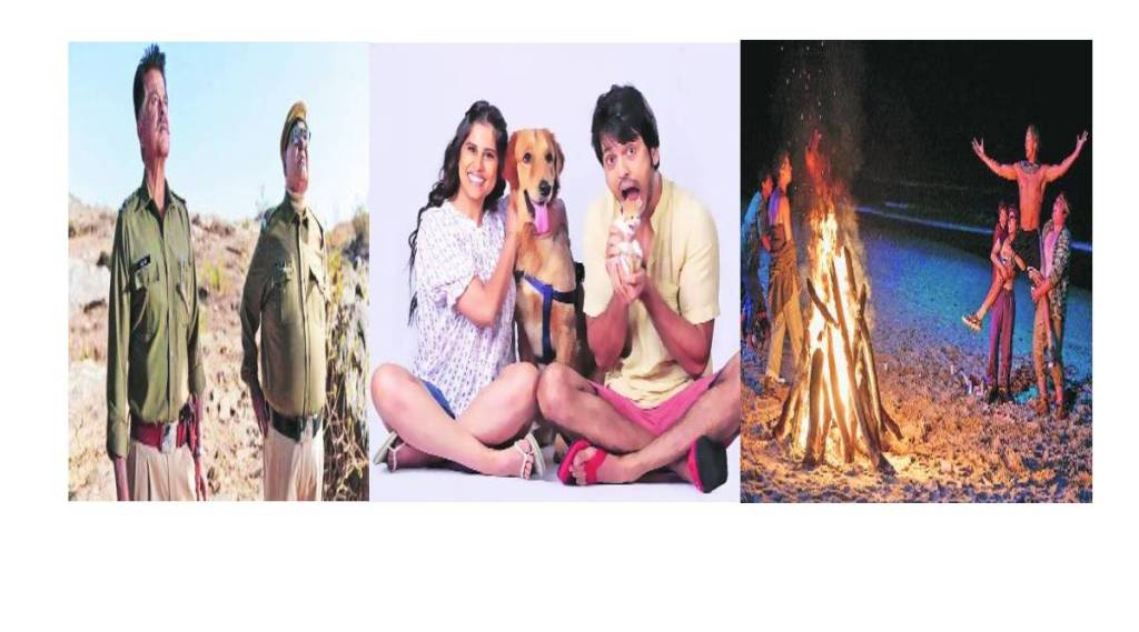 नवं काही : थार