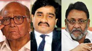Sharad Pawar Nawab Malik Dawood Ibrahim
