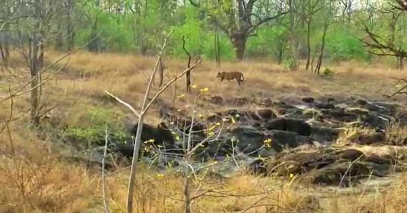 त्याच आर्चीला पाहायला सैराटचे कलाकार आले होते.