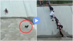 Human chain created to save dog life