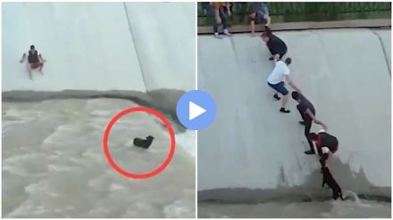 Human chain created to save dog life