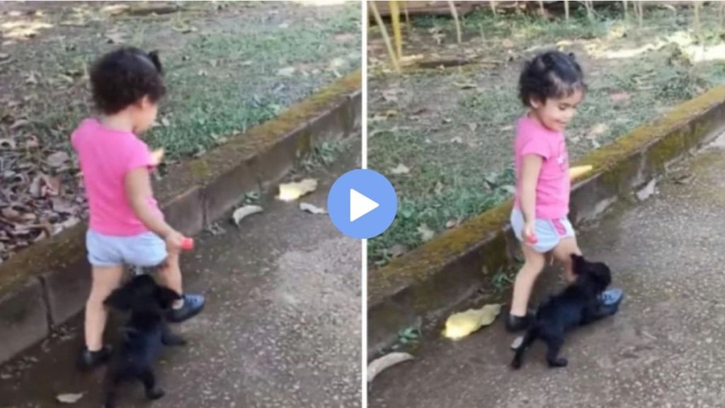 Lollipop stolen by puppy distracting girl