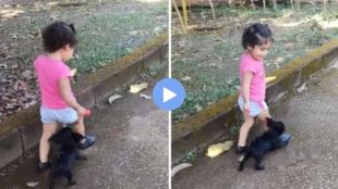 Lollipop stolen by puppy distracting girl