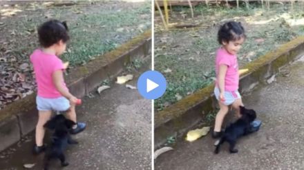 Lollipop stolen by puppy distracting girl