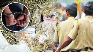 cannabis smuggling