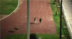 अग्रलेख : कुत्रा आणि कृतिशून्य!