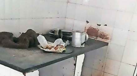 ‘बेस्ट’च्या प्रतीक्षा नगर आगारातील उपाहारगृहाची दुरवस्था ; कर्मचाऱ्यांच्या आरोग्याचा प्रश्न