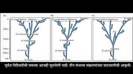 सृष्टी-दृष्टी : शोध पूर्वजरूपाचा