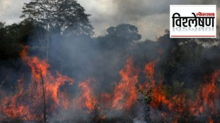 forest fire