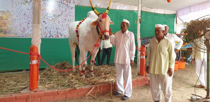 ज्ञानेश्वर शेडगे हे वारकरी संप्रदायातील असून गेल्या काही वर्षांपासून ते देहू ते पंढरपूर वारी करतात.