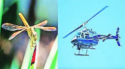 कुतूहल : चतुर आणि हेलिकॉप्टर