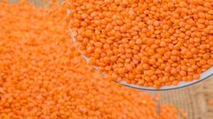 Masoor-dal-Benefits
