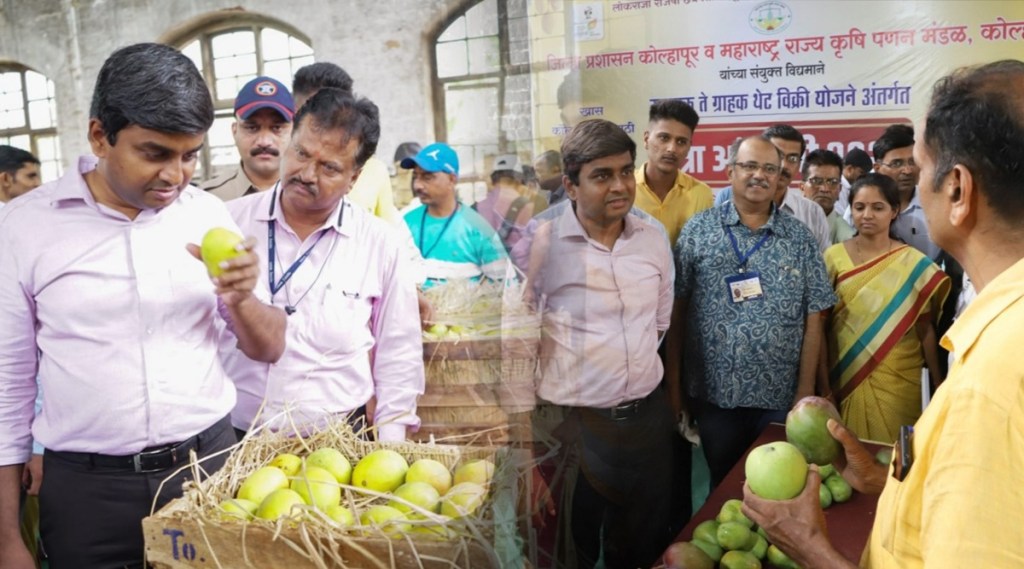कोल्हापूरच्या आंबा जत्रेत ६ मेट्रिक टन आंब्यांची विक्री कोल्हापूरच्या आंबा जत्रेत ६ मेट्रिक टन आंब्यांची विक्री