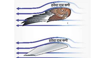 कुतूहल : विमानपक्षी