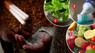 World No Tobacco Day 2022 Ways to resist tobacco cravings