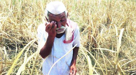 वेळेआधीच्या पावसामुळे शेतकरी धास्तावला; आर्थिक नियोजन बिघडणार असल्यामुळे चिंता