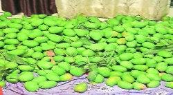 आंब्याच्या विक्रीने शेतकरी आर्थिक अडचणीतून बाहेर; गावठी हापूस, केसर आंब्याची ६० ते ७० रुपये किलो दराने विक्री