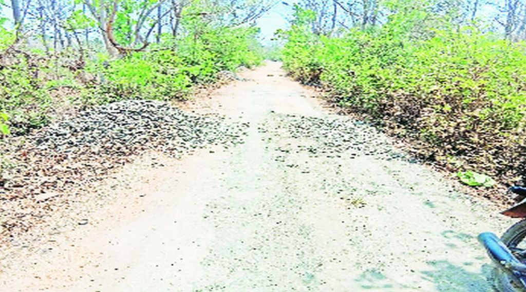 रस्त्यालगत टाकलेली खडी, मुरूम चोरीस; घोळ-धामटणे स्त्याची अवस्था वाईट