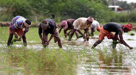 pm kisan yojana kyc