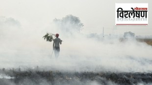 pollution