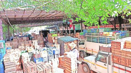 अक्षय तृतीयेसाठी आंबा बाजार बहरला ;हापूस आंबा सातशे ते बाराशे रुपये डझन