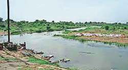 कोरडी दूधगंगा पुन्हा वाहू लागली; शेतकऱ्यांना दिलासा