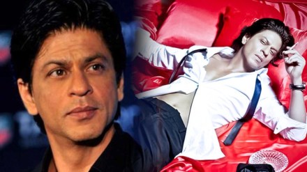 shahrukh khan,, pornstar,