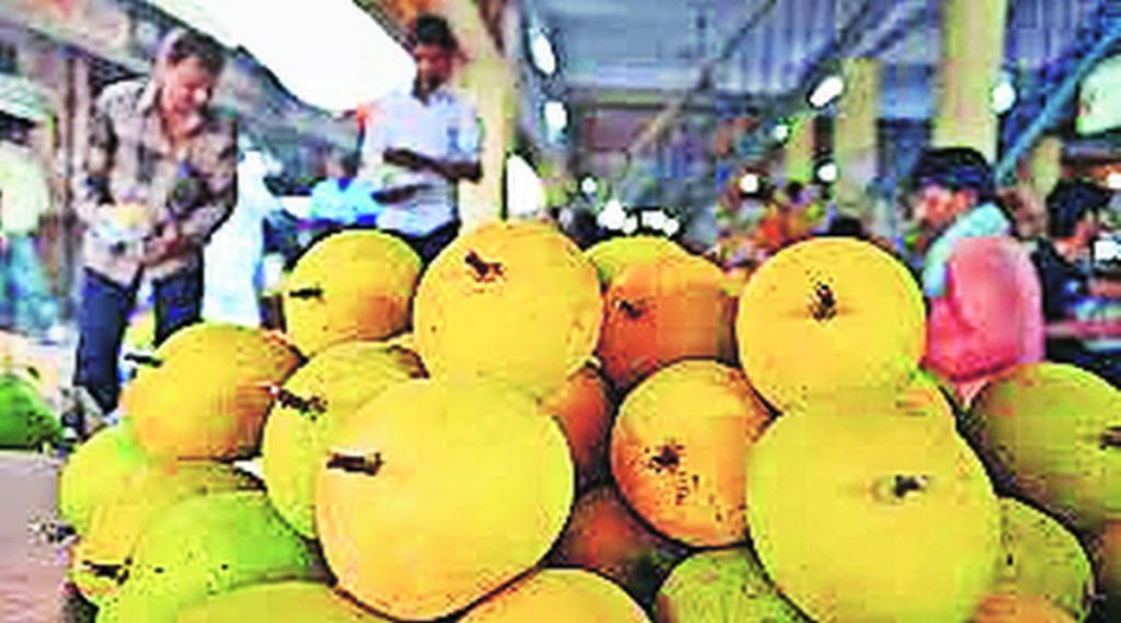 ठाणे जिल्ह्यातील आंब्याचा बाजारात वरचष्मा; गोडवा आणि किमतीमुळे केसर, हापूस, रत्ना जातीच्या आंब्यांना मोठी मागणी