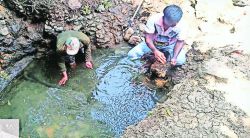 येऊरमध्ये वन्यप्राण्यांसाठी जलसंजीवनी; २५ हून अधिक पाणवठय़ांची स्वच्छता