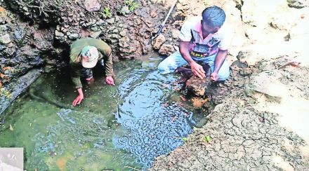 येऊरमध्ये वन्यप्राण्यांसाठी जलसंजीवनी; २५ हून अधिक पाणवठय़ांची स्वच्छता