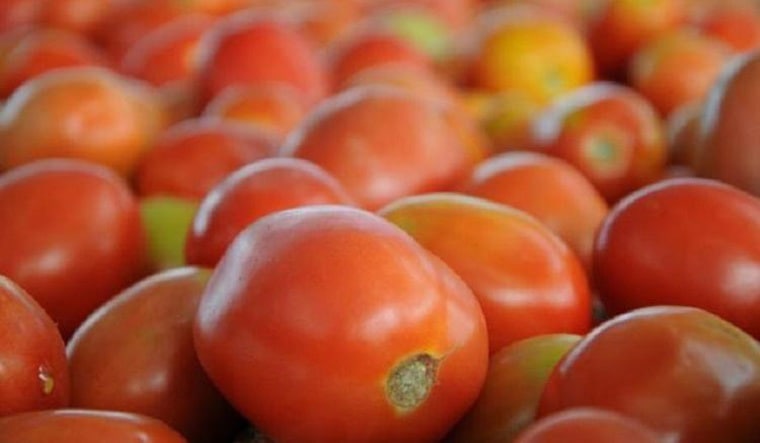 Tomato price hike