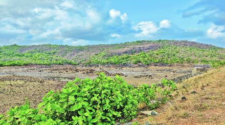 पाझर तलाव बंधाऱ्याच्या दुरुस्तीसाठी ४७ लाखांचा निधी पाझर तलाव बंधाऱ्याच्या दुरुस्तीसाठी ४७ लाखांचा निधी