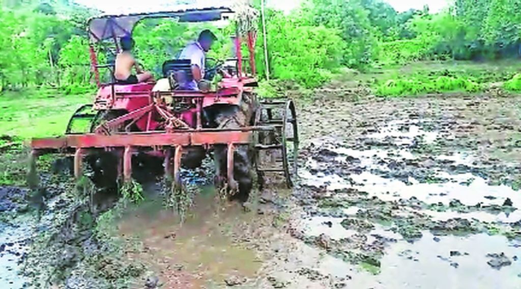 शहरबात: वसईतील ‘शहरी’ शेतकऱ्यांची उपेक्षा शहरबात: वसईतील ‘शहरी’ शेतकऱ्यांची उपेक्षा