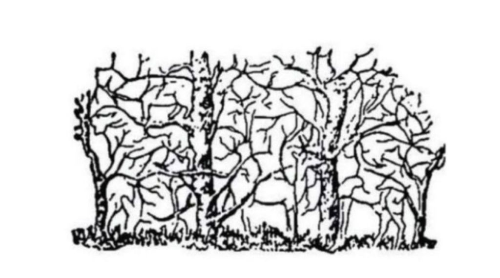 viral puzzle