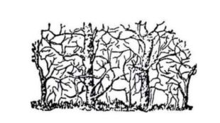 viral puzzle