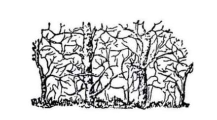 viral puzzle