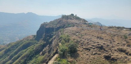 Bee attack on tourists at Sinhagad Fort